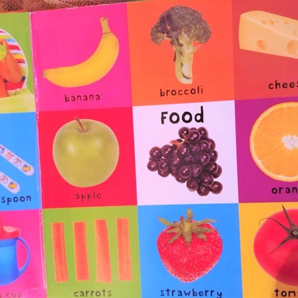 First 100 Words Board Book Roger Priddy baby language kid children language Nice - Picture 4 of 8